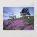 Search for jamie postcards Nobody