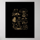 Search for vintage frog posters Cottagecore