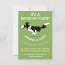 Search for border collies invitations Herding