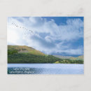 Search for wildlife postcards Vacation