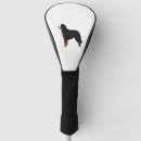 Search for bernese mountain dog golf equipment Animal
