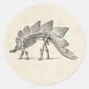 Search for fossils stickers Stegosaurus