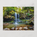 Search for smokey postcards Tennessee