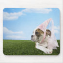 Search for bull dog mouse mats Humour