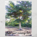 Search for trees flyers Nature