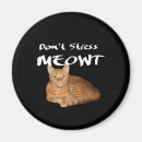 Search for stressed magnets Cat