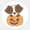 Search for cute australian shepherd dog stickers Halloween