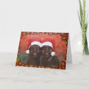 Search for outback christmas cards Xmas