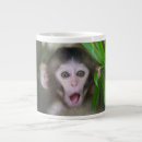 Search for macaque mugs Japan