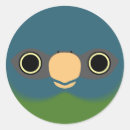 Search for blue macaw stickers Pet