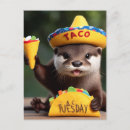 Search for cute taco postcards Tacos