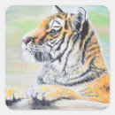 Search for tiger cubs stickers Orange