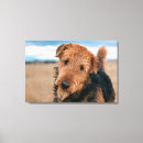 Search for released canvas prints Mr