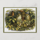 Search for fairy postcards Book