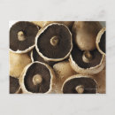 Search for medium group of objects postcards No people