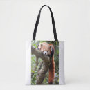 Search for red panda bags Wildlife