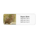 Search for pet bird return address labels Animal