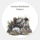 Search for german shorthaired pointer stickers Gsp