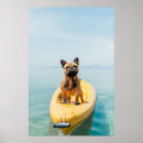 Search for kayak posters Beautiful