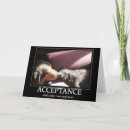 Search for acceptance cards Cat