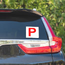 Search for large red bumper stickers Car