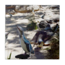 Search for penguin tiles Bird