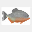 Search for piranhas stickers Amazon