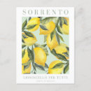 Search for lemon postcards Amalfi