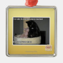 Search for sharing christmas tree decorations I can has cheezburger