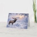 Search for wildlife christmas cards Elk