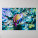 Search for cute fish posters Ocean