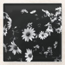 Search for daisies coasters Floral photography