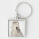 Search for persian cat key rings Feline