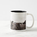 Search for grazing cows mugs Outdoors
