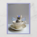Search for tea cups postcards Cat
