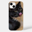Search for black white cat iphone cases Tuxedo