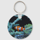 Search for clown fish key rings Underwater