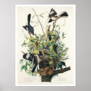 Search for mock posters Bird