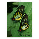 Search for antenna postcards Butterflies
