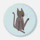 Search for cat magnets Kitty