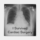 Search for cardiac magnets Heart
