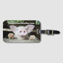 Search for piglets accessories Piggy