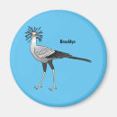 Search for secretary magnets Bird