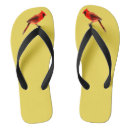 Search for wings shoes Bird