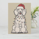 Search for poodle christmas cards Santa claus