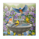 Search for bathing tiles Pretty