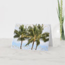 Search for big tree cards Photography