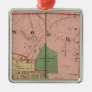 Search for walnut tree Ohio