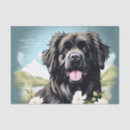 Search for newfoundland dog crafts party Portrait
