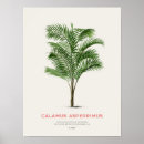 Search for minimalist nature art Palm